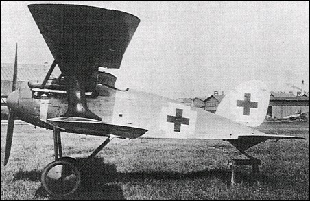 Albatros D X