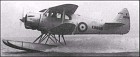 Airspeed Queen Wasp