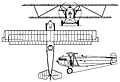 Fokker D XII