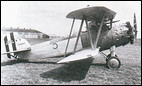 Curtiss F8C-4, -5 / O2C-1 Helldiver